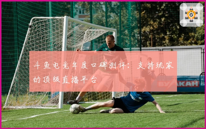 斗鱼电竞年度口碑测评：支持玩家的顶级直播平台