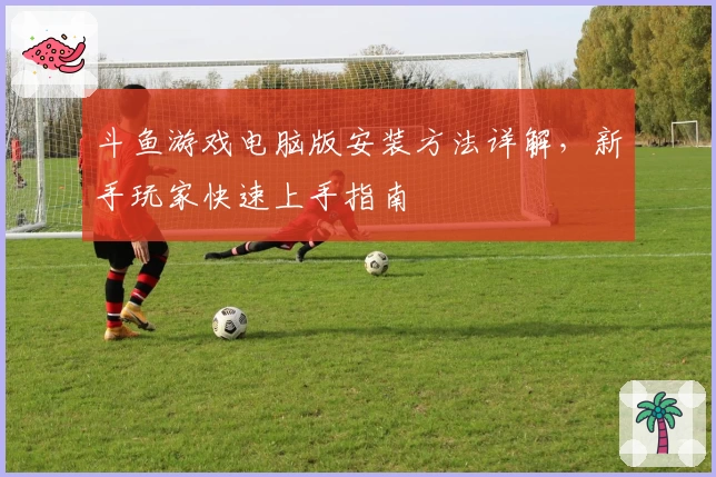 斗鱼游戏电脑版安装方法详解，新手玩家快速上手指南