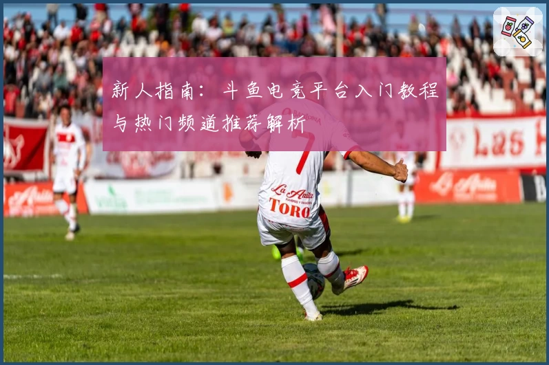 新人指南：斗鱼电竞平台入门教程与热门频道推荐解析