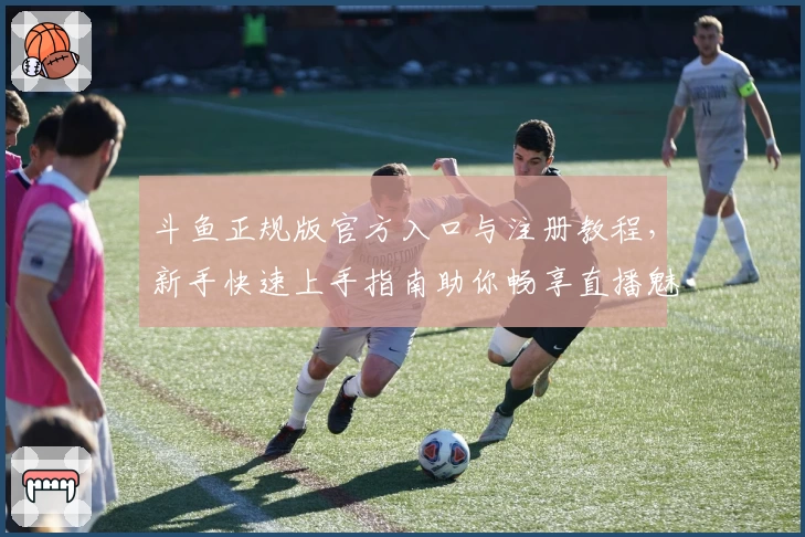 斗鱼正规版官方入口与注册教程,新手快速上手指南助你畅享直播魅力