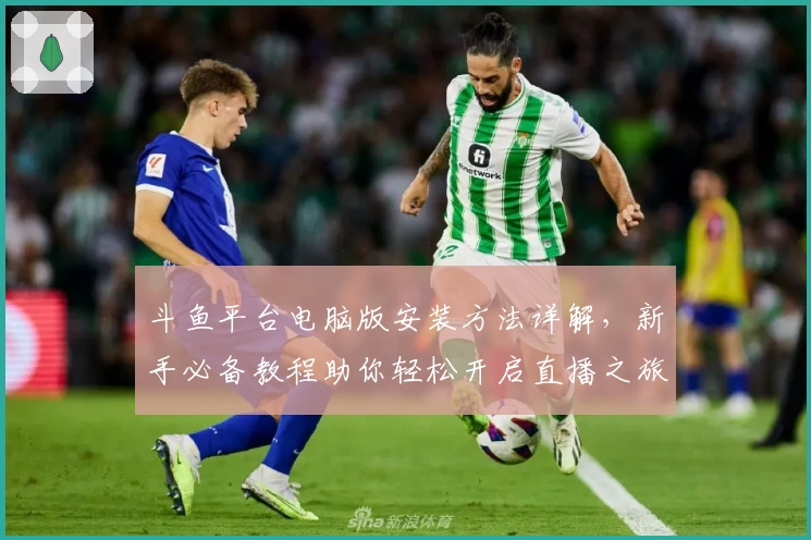 斗鱼平台电脑版安装方法详解，新手必备教程助你轻松开启直播之旅