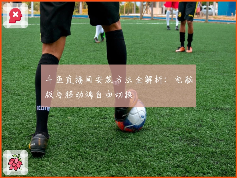 斗鱼直播间安装方法全解析：电脑版与移动端自由切换