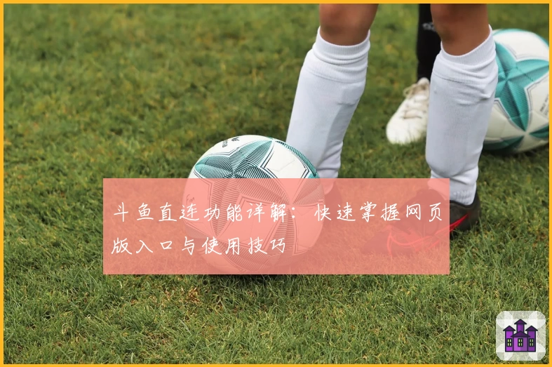 斗鱼直连功能详解：快速掌握网页版入口与使用技巧