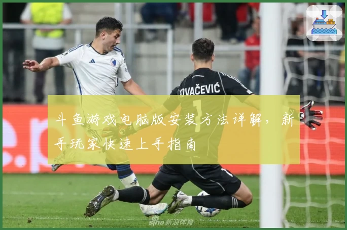 斗鱼游戏电脑版安装方法详解，新手玩家快速上手指南