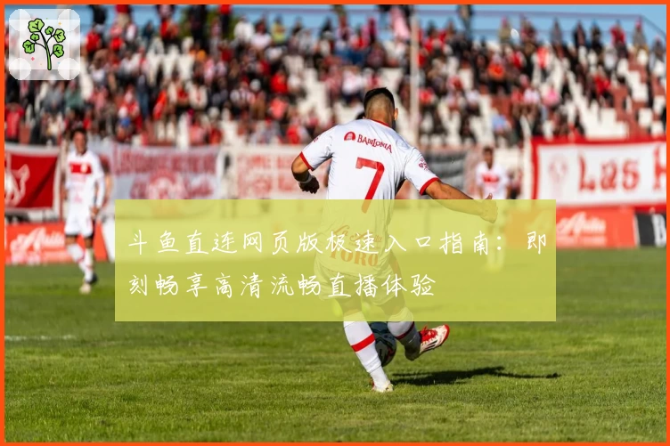 斗鱼直连网页版极速入口指南：即刻畅享高清流畅直播体验