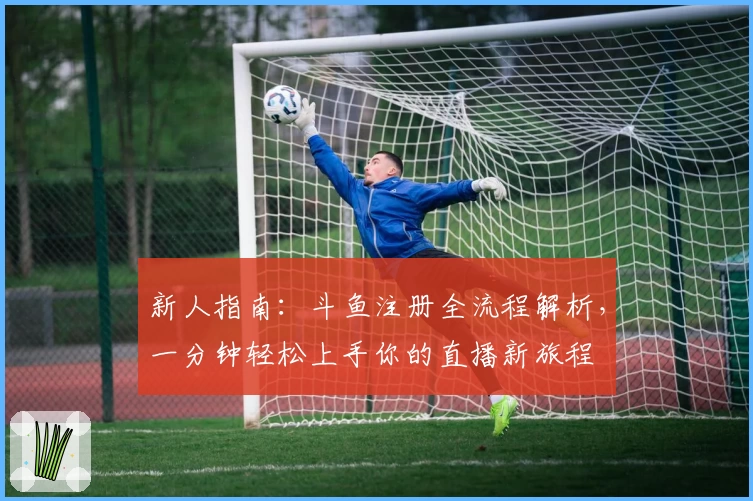 新人指南：斗鱼注册全流程解析，一分钟轻松上手你的直播新旅程