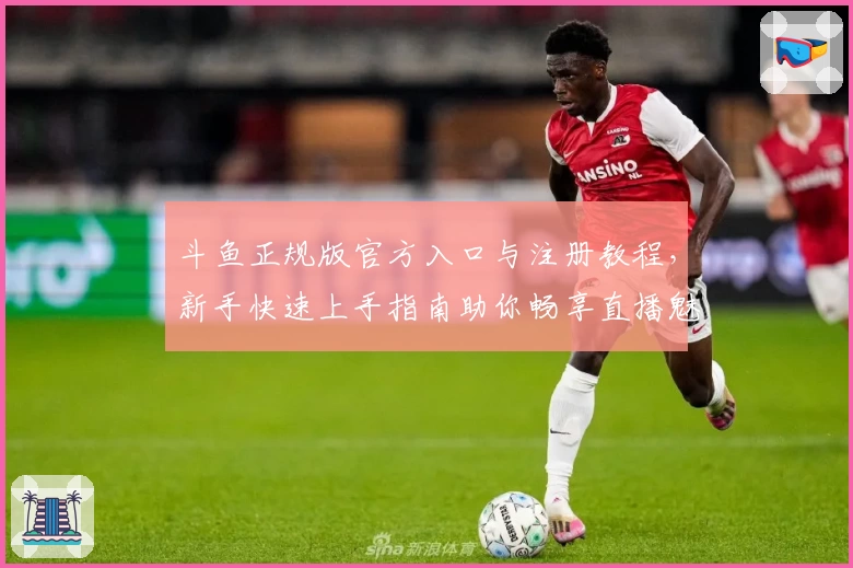 斗鱼正规版官方入口与注册教程,新手快速上手指南助你畅享直播魅力